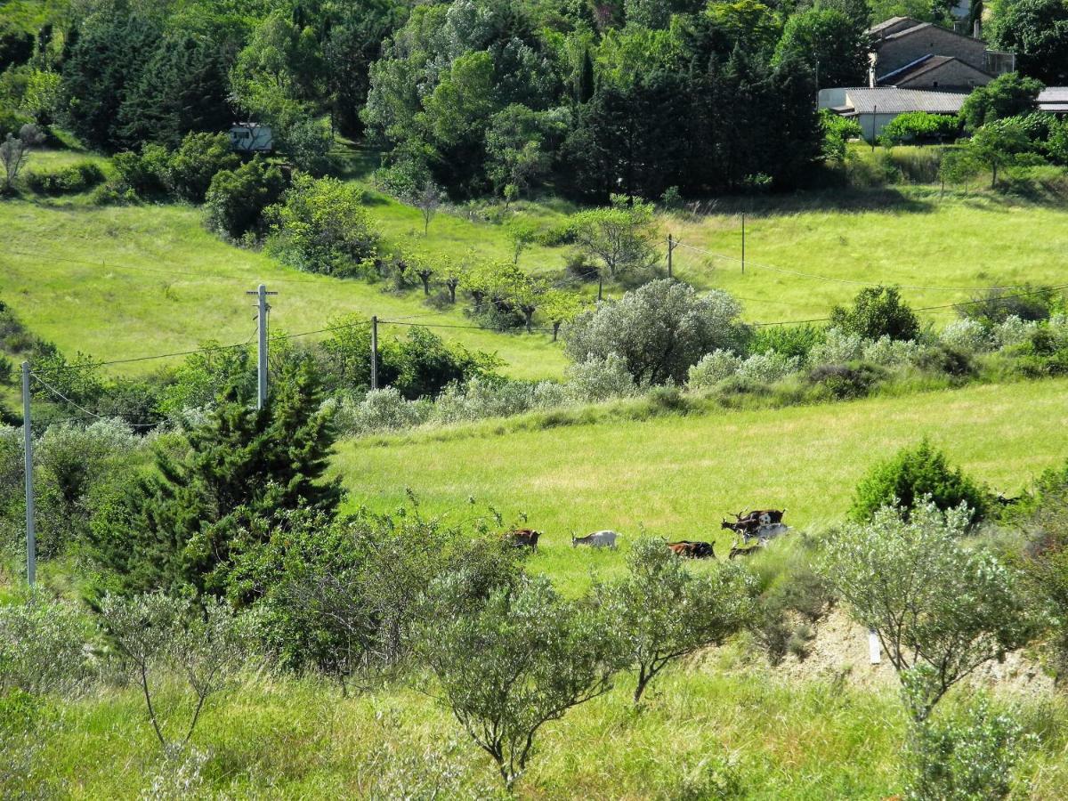 Pontet-Fronzele Agrotourisme Ecologique, Maison D'Hotes & Spa Lagorce  Exterior photo